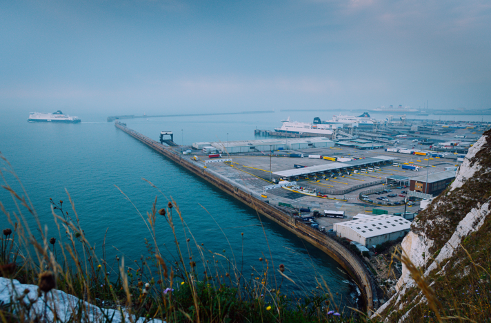 A view from above of Waldeck’s busy ferry port shows large ferries docked, trucks queued, and calm blue water stretching into the misty distance. Some wild grass and flowers are visible in the foreground, echoing the harmony of bridge engineering.