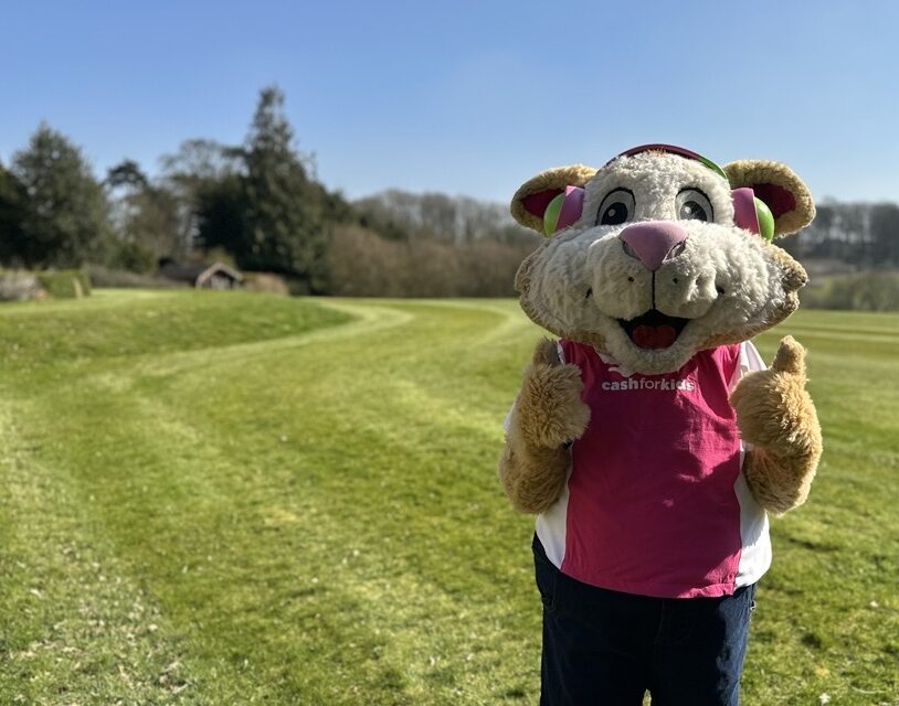 A person in a large, furry animal costume stands on a grassy field at the Lincoln 10K event. The costume is brown and white, with the character sporting a pink top. Trees are visible in the background under a clear sky, adding to the festive atmosphere supporting Cash for Kids.