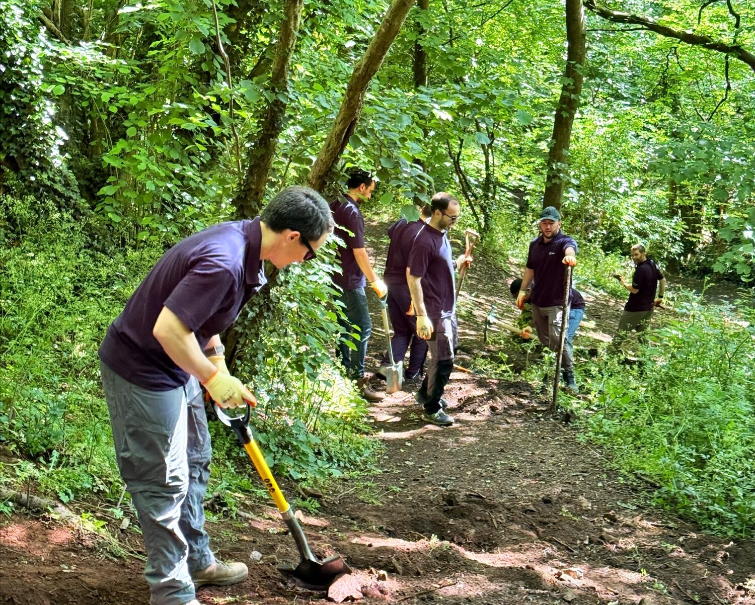 A group of volunteers from the Engineering Delivery Team, wearing purple shirts, work together with tools to clear and level a dirt path through the lush Badock Wood as sunlight filters through the trees above them.